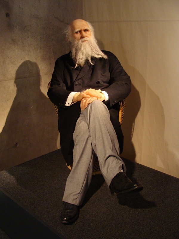 CosmoCaixa